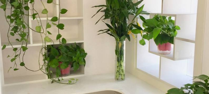 临沂人间乐舟公寓(8号店)图片