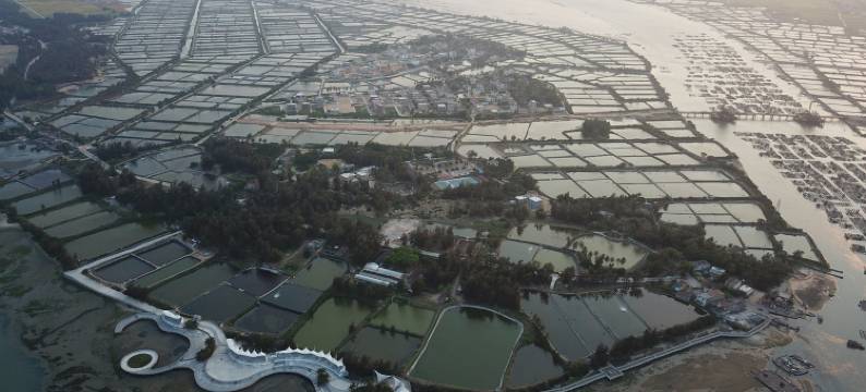 万宁龙舟客栈图片