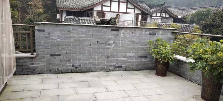 南充阆中院子度假别墅(2号店)图片