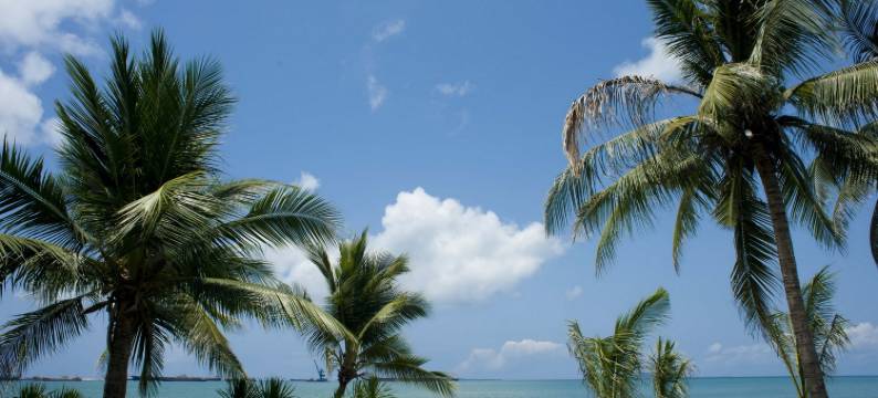 三亚清心家庭公寓图片