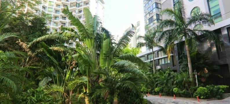 三亚清心家庭公寓图片