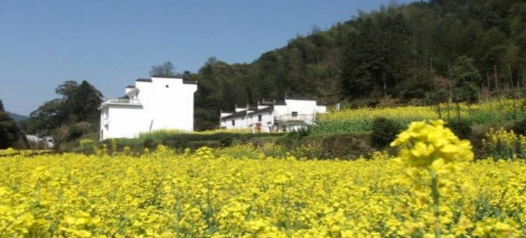 婺源新世纪客栈图片