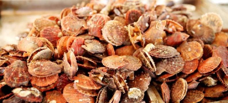 海心小筑(斥山东路分店)图片