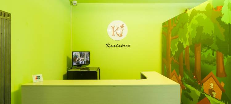 天津考拉宿图片