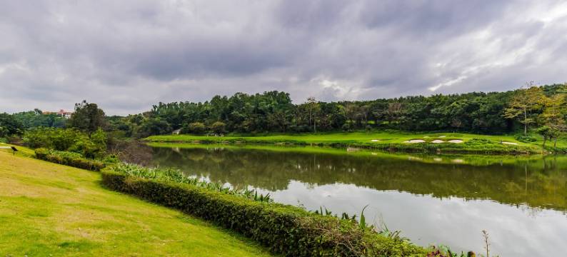 水秀居公寓(博爱七路分店)图片