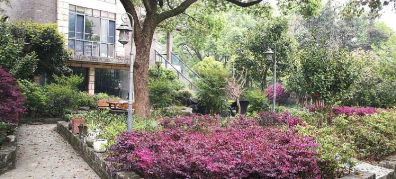 杭州23号小院图片