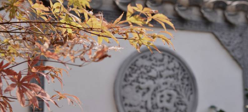 烟台0527散人特色民宿图片