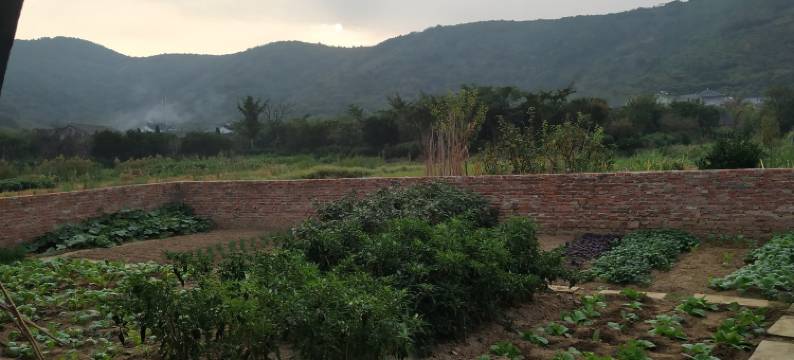 苏州泉沐皓居别墅图片