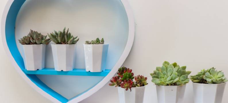 乐山乐佛之家公寓图片