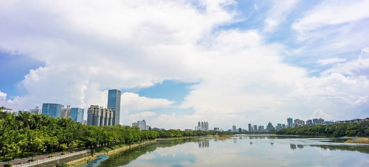 南宁元宿公寓(金湖广场琅西地铁站店)图片