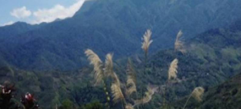 缘份天空主题民宿(滁州5号店)图片