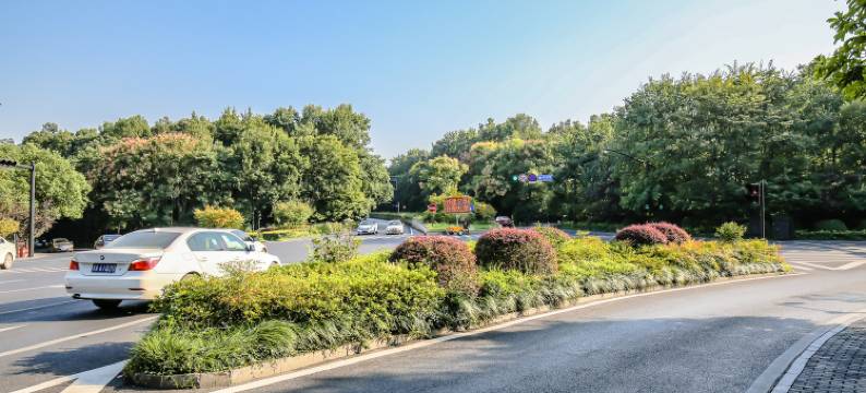 杭州蓝屿麦田客栈(西湖灵隐店)图片