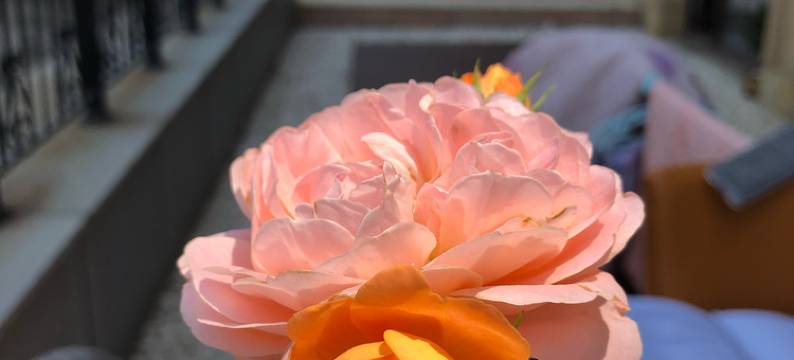 威海海宴台温馨小家公寓图片