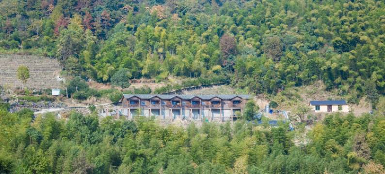 桐庐雪庐民宿图片