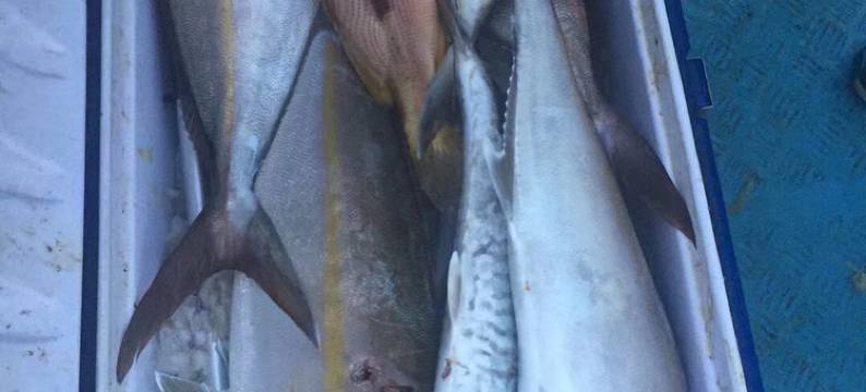 东山牛焉渔家乐图片