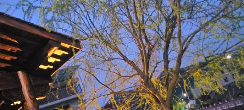 建德通儒农家图片