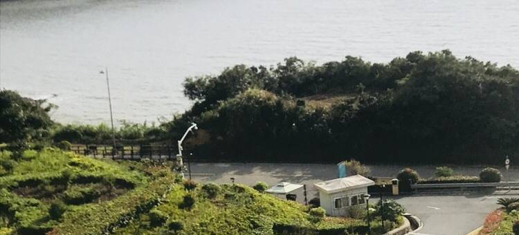 舟山静舍民宿图片