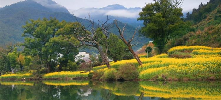 婺源菊红民宿图片