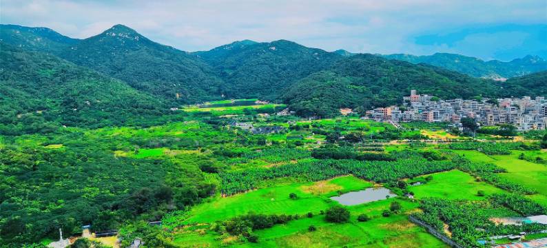 南澳岛海景公寓(云青路2号分店)图片