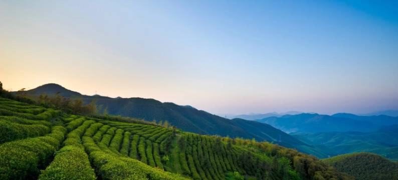 莫干山翠屏客栈图片