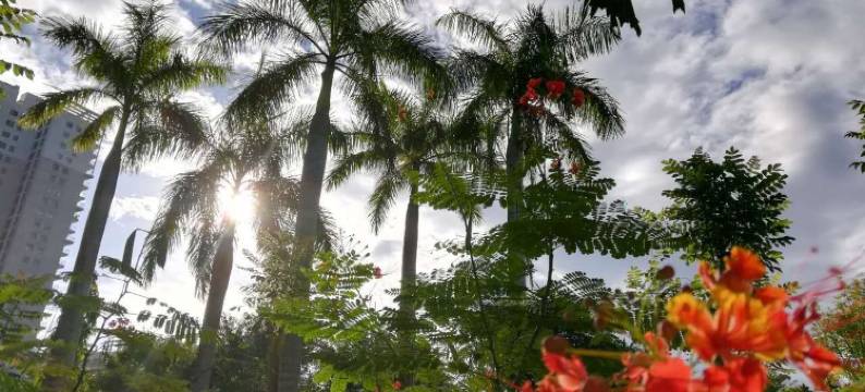 乐东之家酒店式公寓图片