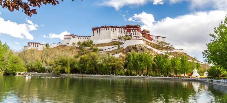 拉萨八宝宾馆(八廓街大昭寺店)图片