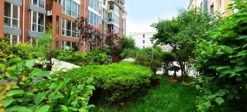 西宁丑姐公寓(2号店)图片