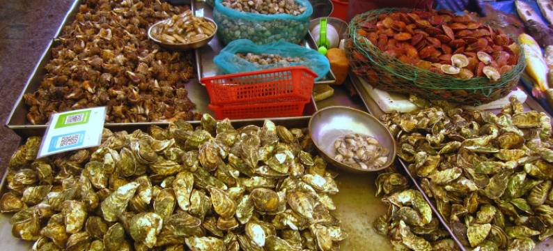 青岛煮海鲜喝散啤公寓图片