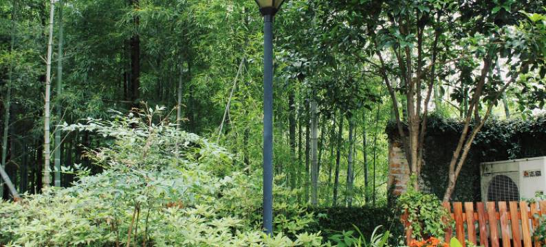 杭州23号小院图片