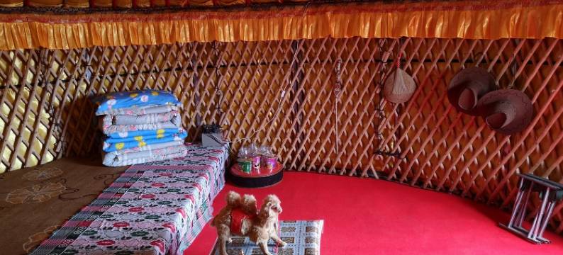 锡林郭勒盟浩特特色民宿图片