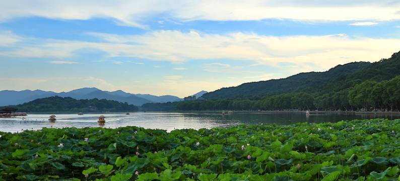 西湖一半小院民宿(灵隐店)图片
