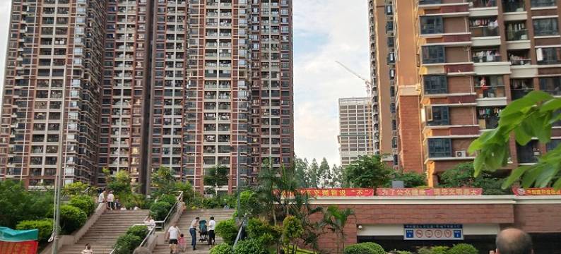 深圳张羿屹妈妈公寓图片