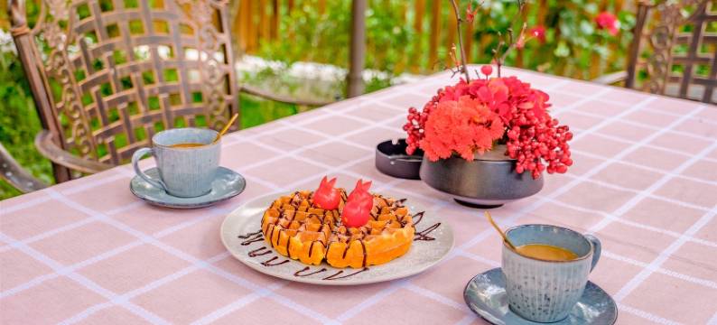 乌镇慈云花溪美墅图片