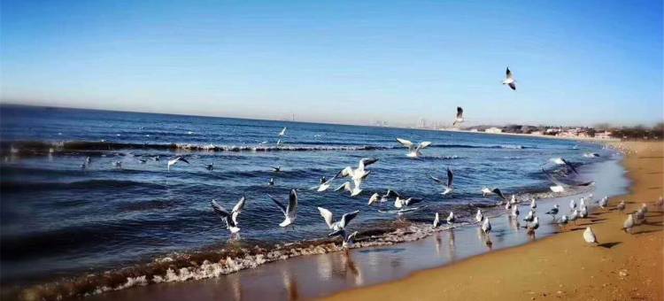 北戴河广富民宿图片