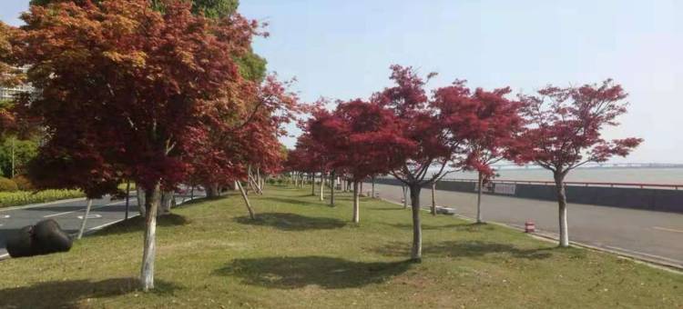 杭州钱塘潮墅地铁1号线江滨站/江景房公寓图片