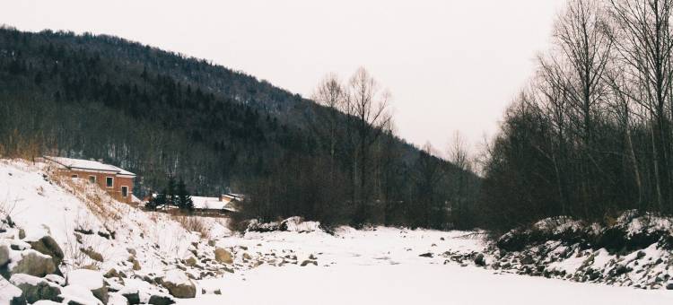 雪乡二浪河维子家民宿(大林公路分店)图片
