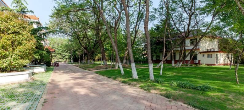 日照叮咚别墅图片