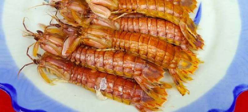 日照顺达渔家图片