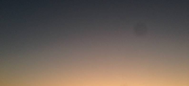 广州大树zsx度假别墅图片