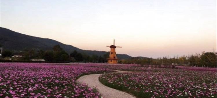 长兴茶岭阁民宿图片