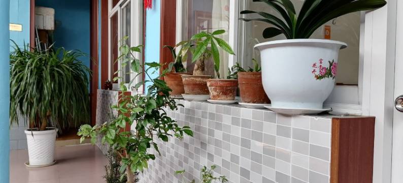 日照大海先生特色民宿图片