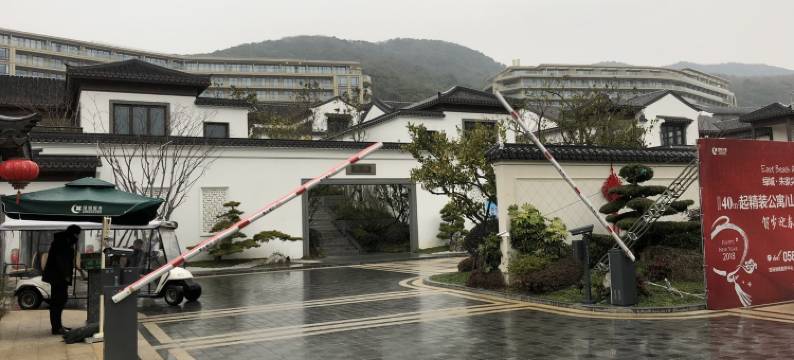 舟山老猫公寓图片