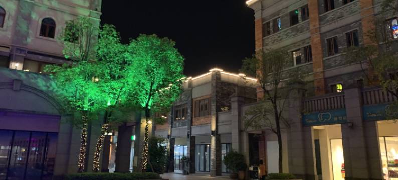 清远潘健飞度假别墅(4号店)图片