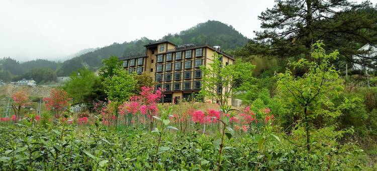 霍山云下山舍度假山庄图片