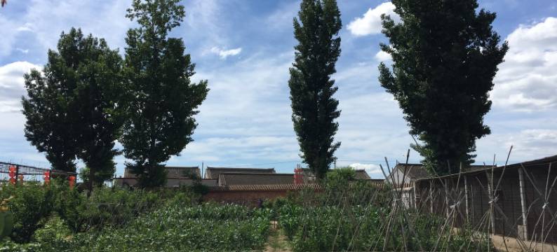北京张家大院子农家乐图片