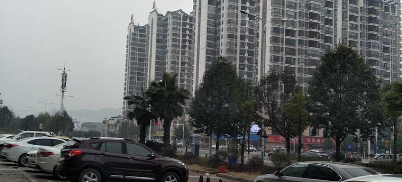 张家界戴帽子的猫公寓图片