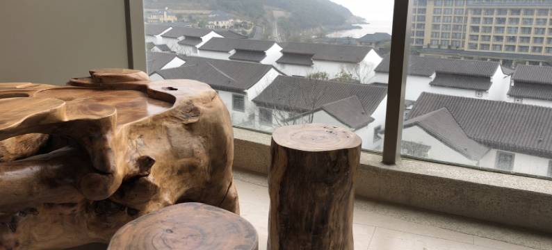 舟山老猫公寓图片