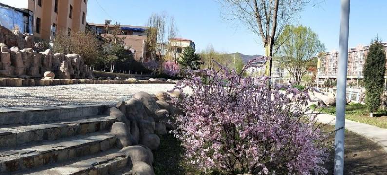 张家口亮晶晶公寓图片