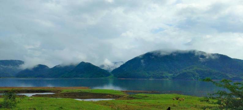 韶关森林庄园图片