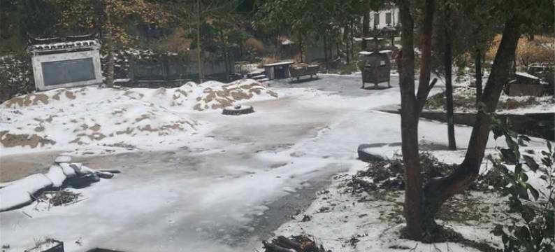 婺源在水益方宾馆图片